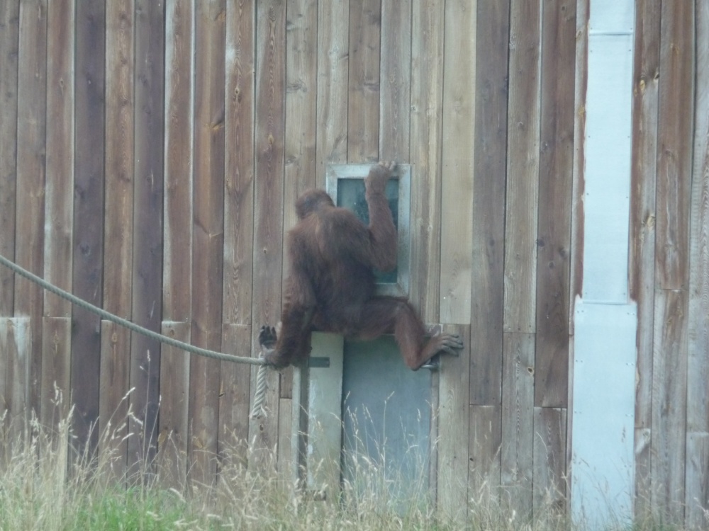 Amneville Zoo-138