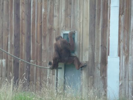 Amneville Zoo-138