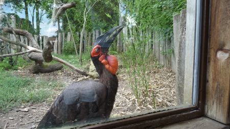 Amneville Zoo-37
