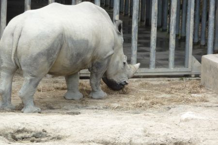 Amneville Zoo-46
