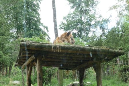 Amneville Zoo-8