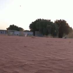 gif-08102017-015