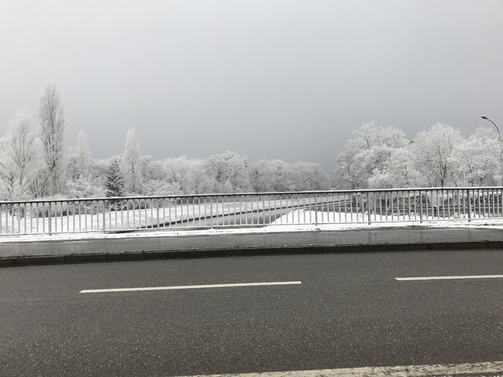 White Strasbourg 2016