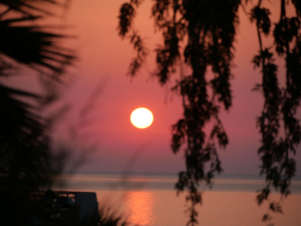P1036931