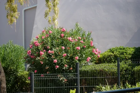 P1036930